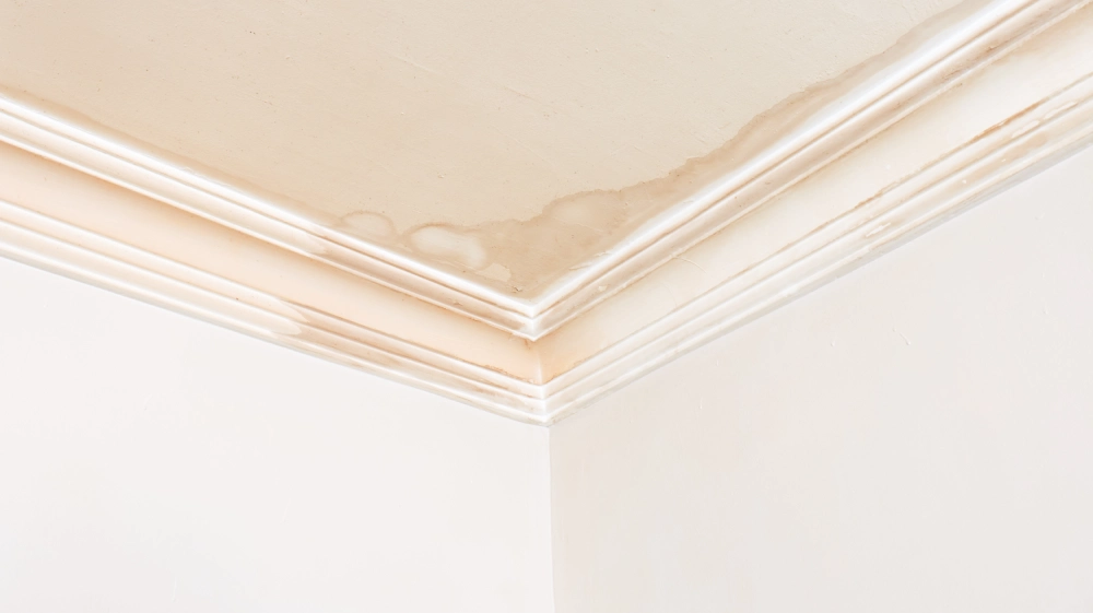 Water and moisture damage has worn away the room ceiling. Damaged and stained interior ceiling due to water leakage.